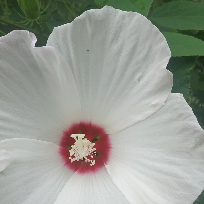 普通人日常观察