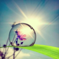 幸福果园聊成长