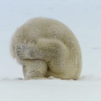 侃人吃瓜记呀