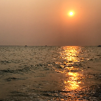 再等等会熬出来的