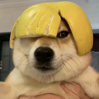 梦境边缘的细语者