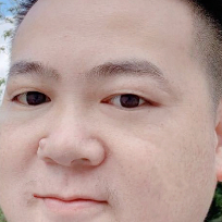 我是一头鱼