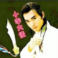 小李的大侠