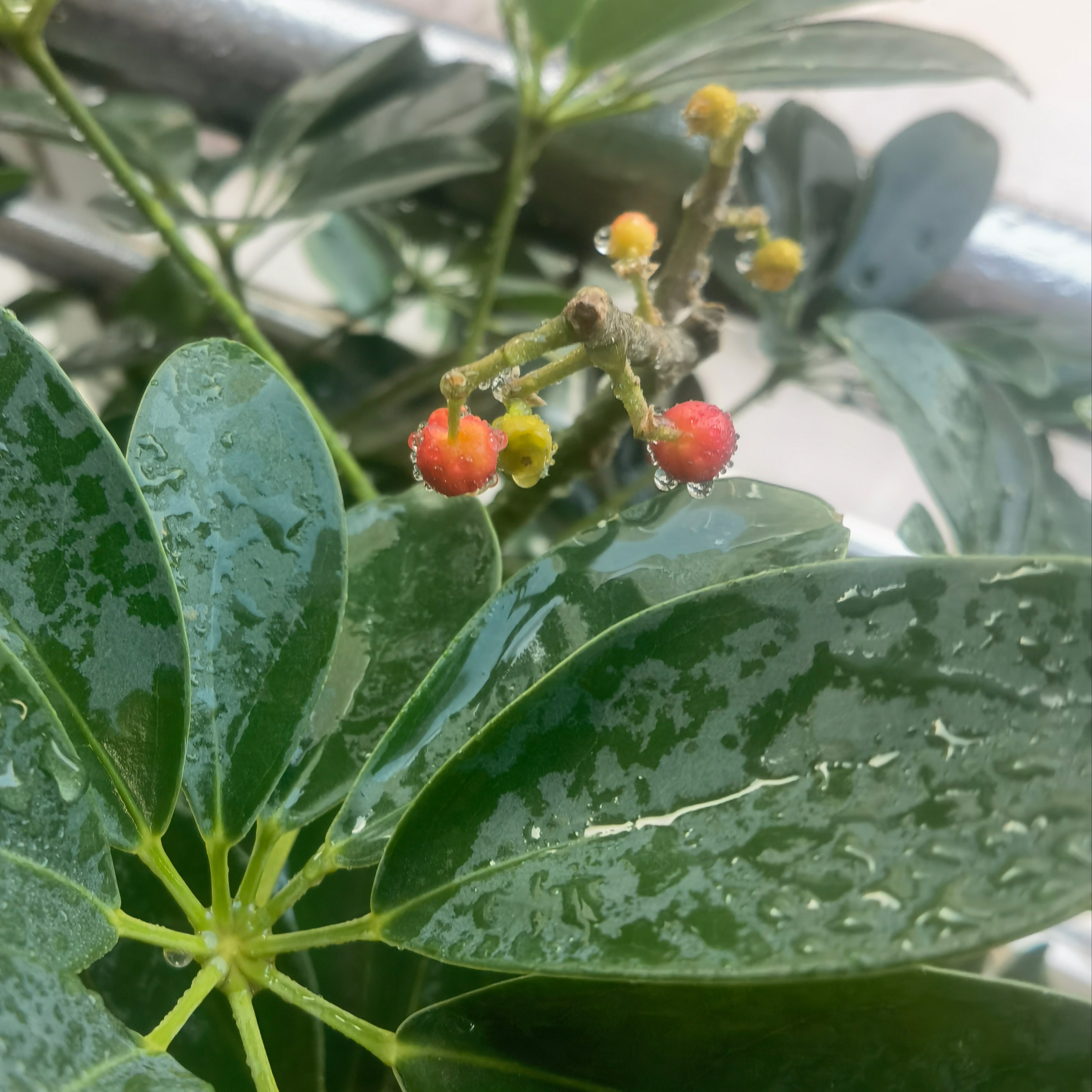 黄河达漠