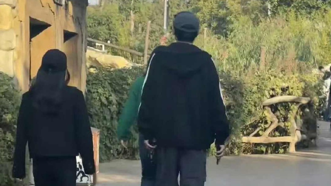 杨旭文陈若琳传喜讯，工作室单字辟谣，真恋还是炒作引热议