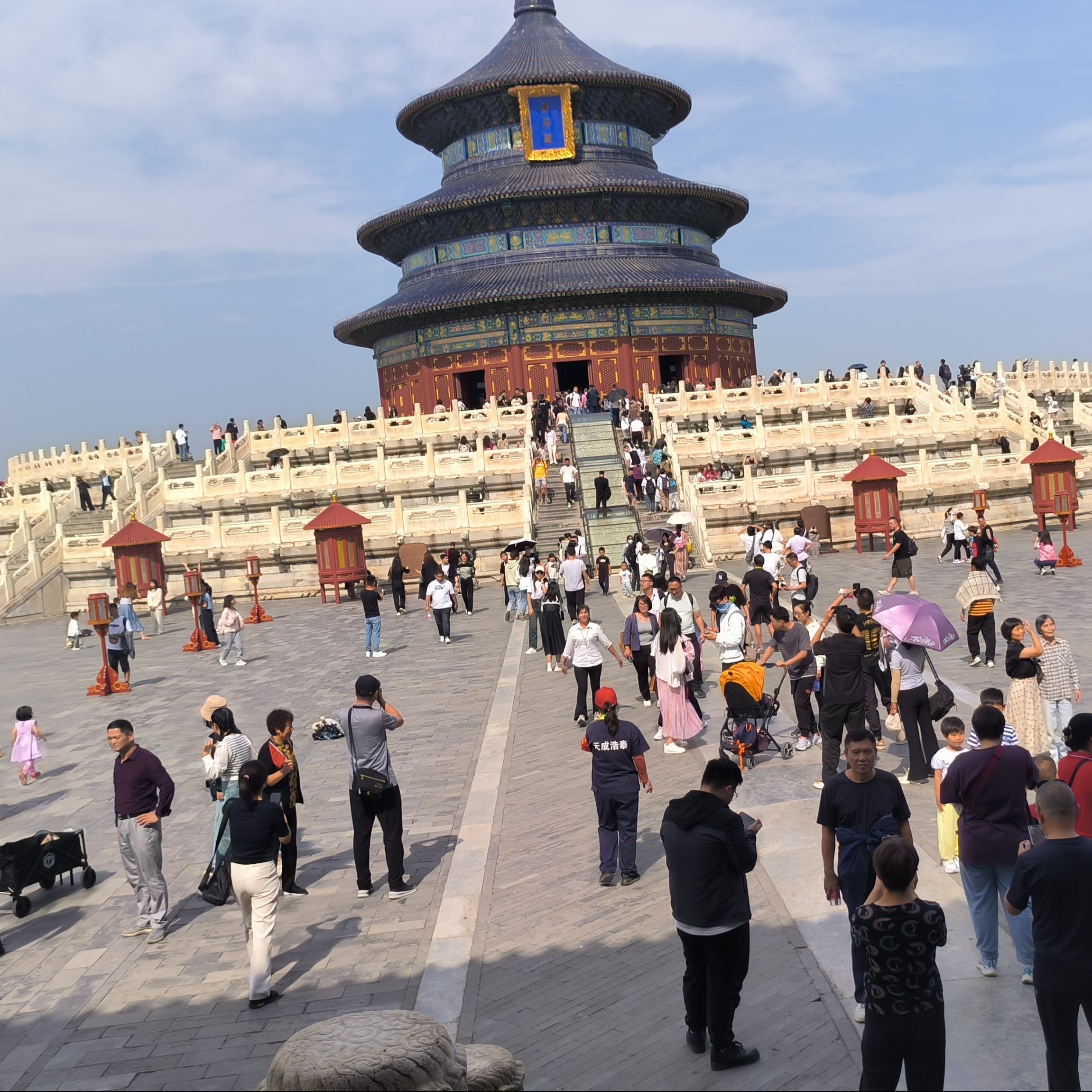 洛杉矶的百灵鸟