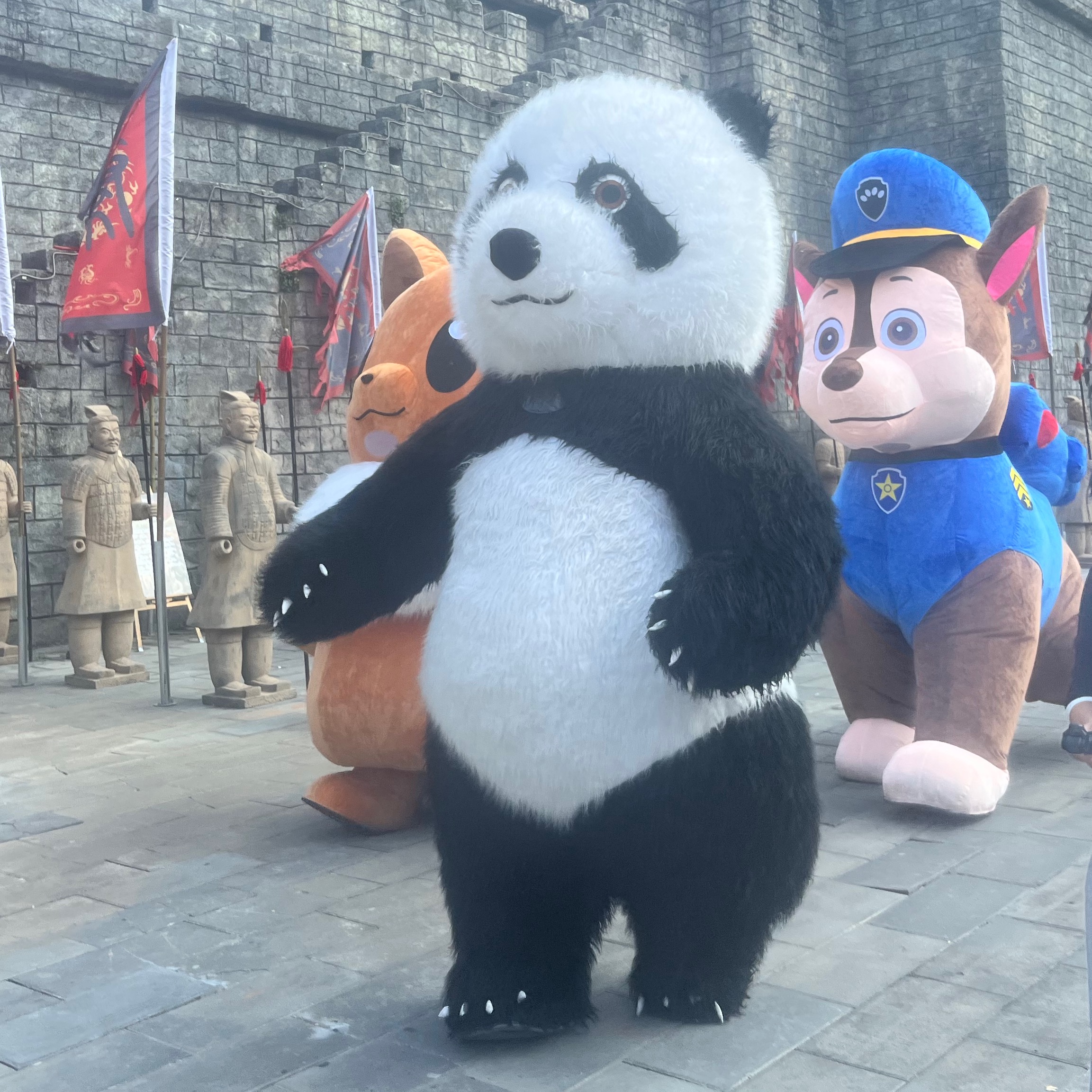 碰花碰草不碰情