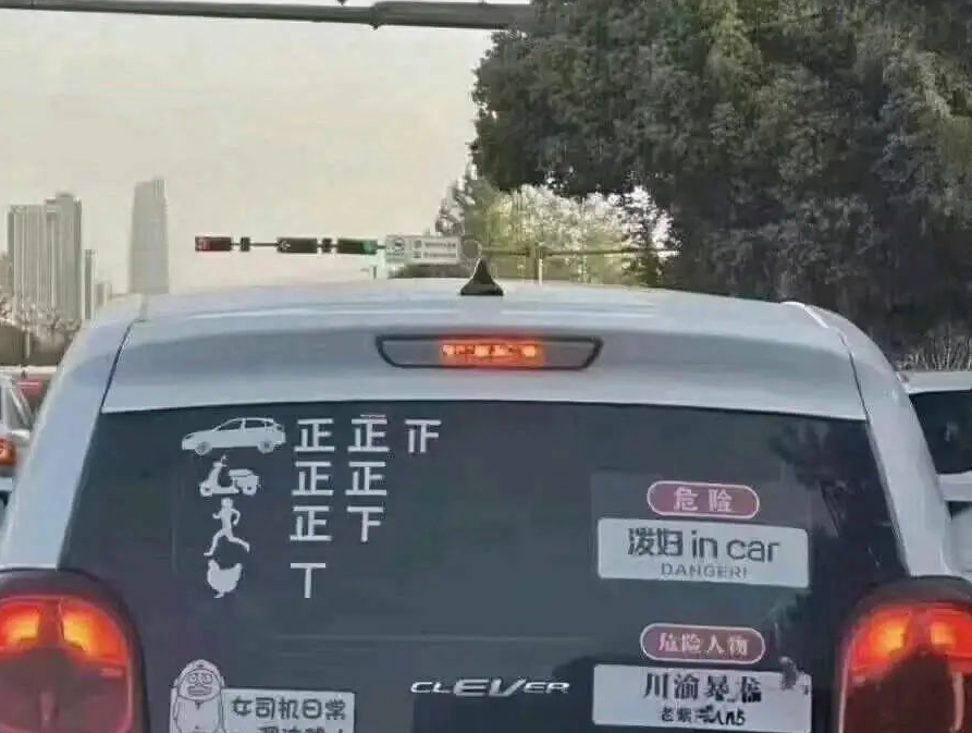 这个车怕不是有点凶凶哦