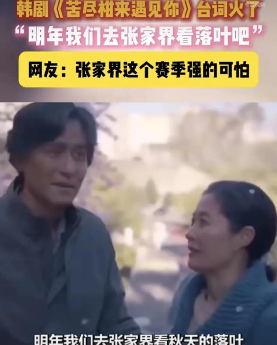 人民日报夸，张艺兴更是在演唱会上向韩国人安利张家界。
这部韩剧叫做《苦尽柑来遇见