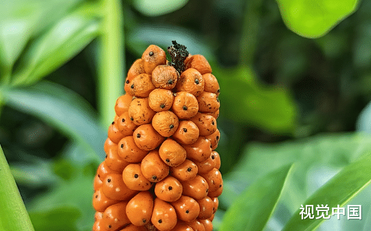 未婚妻在婚礼现场为了助理给了我一巴掌后…