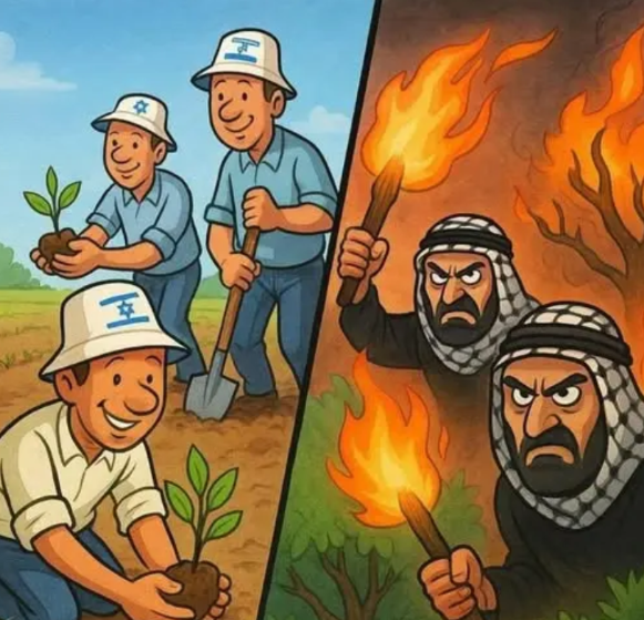 以色列在农业技术和水资源管理方面确实取得了显著成就，特别是在干旱地区开发了先进的