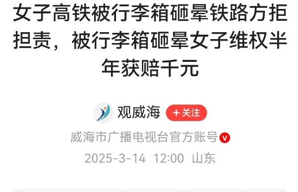 广东深圳，一女子坐高铁，被前座乘客28寸行李箱砸在脑袋上，她立马眼前一黑，晕死过