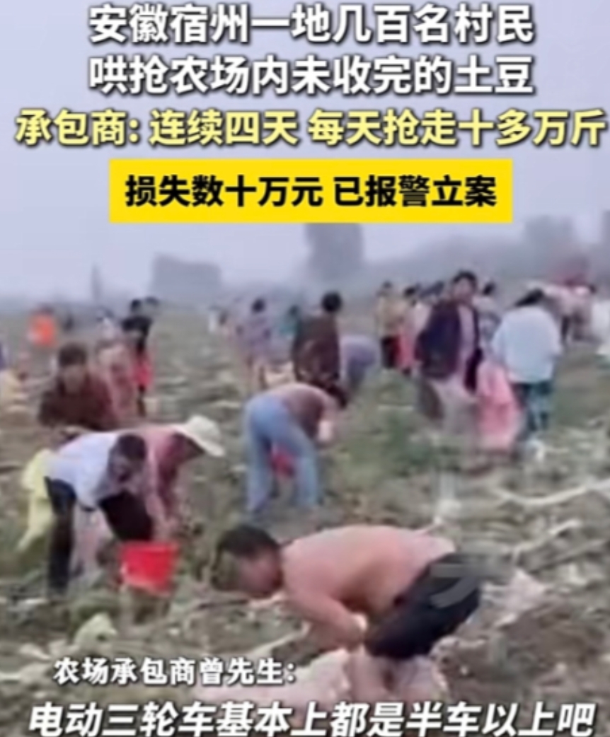 安徽宿州，一农场，承包商曾先生靠种植为生。6月10号起，500多村民听闻农场有没