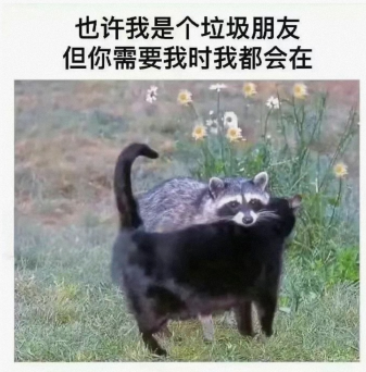 各自有各自的想法