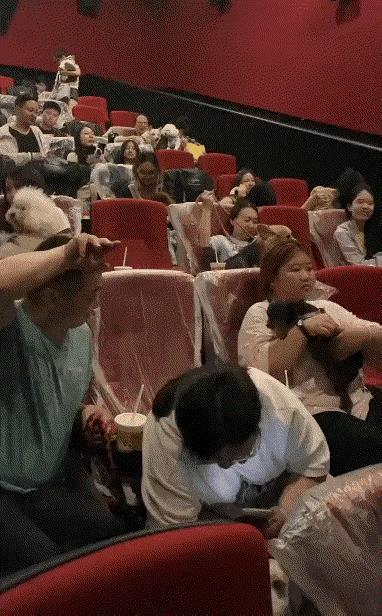 电影院和狗市合并了吗[石化]