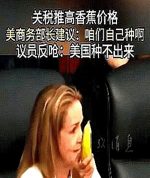 商务部长是个大棒槌











---











话说，美