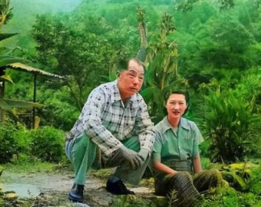 1962年，贵州桐梓县小西湖畔，秋风萧瑟。一辆破旧的吉普车在泥泞山路上颠簸前行，