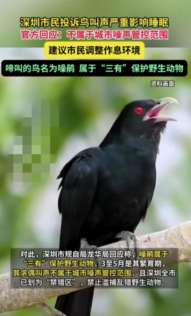 广东深圳，一名女子觉得窗外的鸟叫声太大打扰自己休息，于是便投诉到有关部门，希望能
