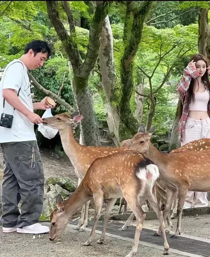 这是王思聪和女友懒懒在日本喂小动物的情景。
照片中的王思聪很专注，非常耐心地喂着