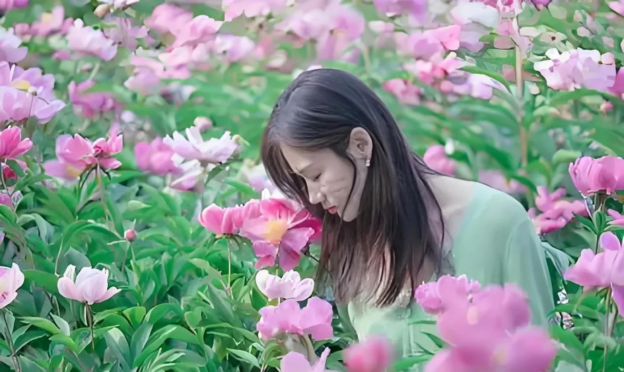 七绝：咏芍药花
芍药花开分外红，
芳姿媚态立风中。
牡丹与我何相似，
待我梳妆色