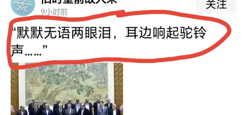 中国中东布局：非但没输，反而大赢











---







