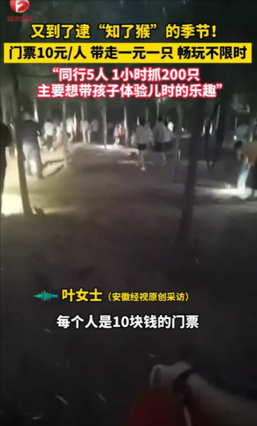 “简直就是捡钱啊！”2025年6月，江苏徐州，一老板为了赚钱，开放自家“知了猴”
