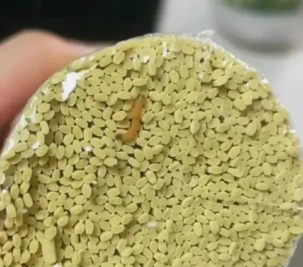 广州，一位村民在超市买了一包挂面，回家后，她正准备煮了吃的时候，不料，却发现这面