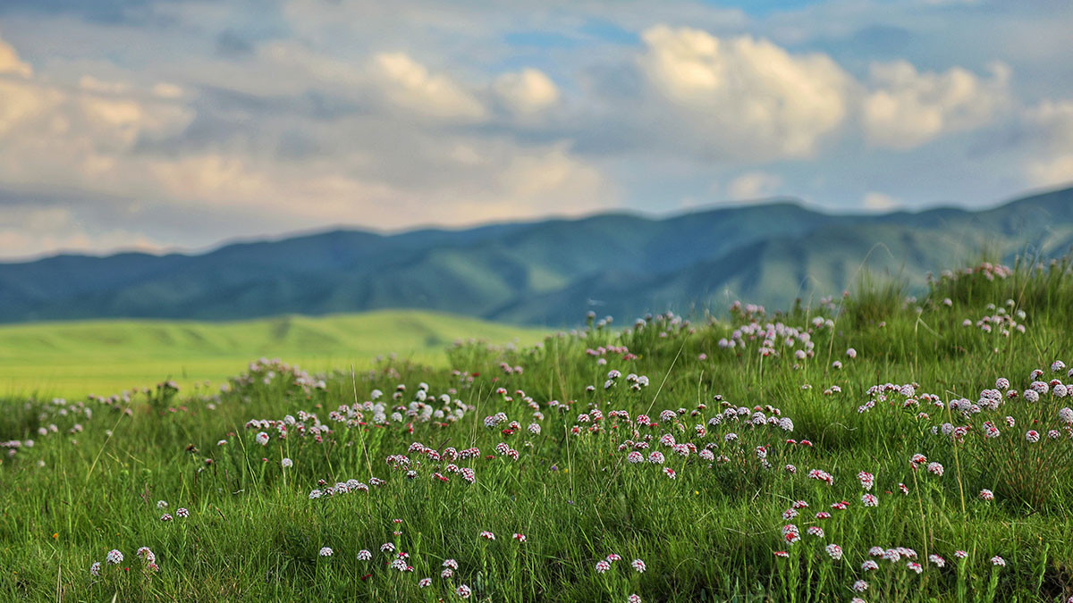 今日七月初八习俗多，别忘：吃2样，尝2果，做2事，忌2事，要了解
