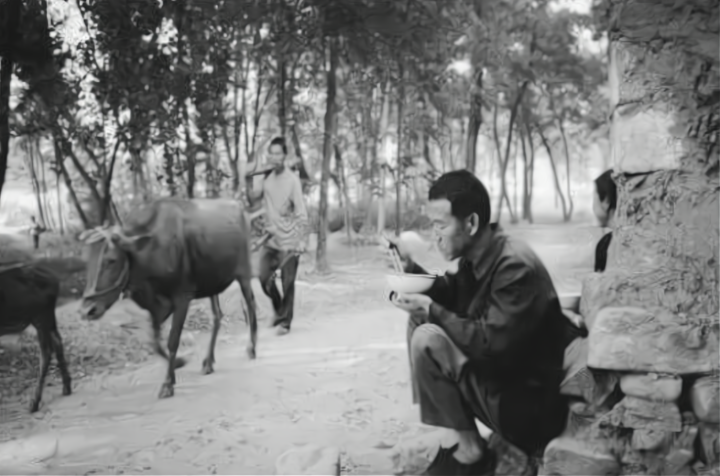 1947年8月，6纵17旅旅长率部解放了家乡，请假回乡探亲。旅长荣归故里，他的叔