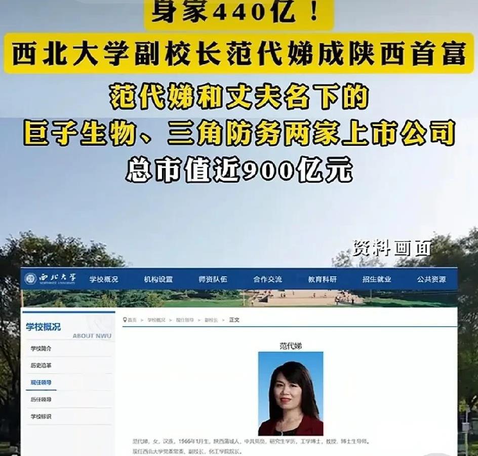 大学校长登顶陕西首富，坐拥440亿身家，大众议论纷纷，都在琢磨：这合理吗？
范代