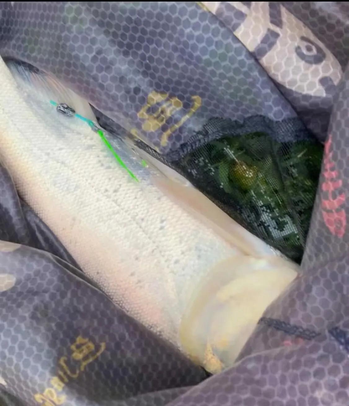 钓者有钓者的快乐，那就是自由、满足、坚持、真我。
今天，鱼钩给我钓断了两个，不过
