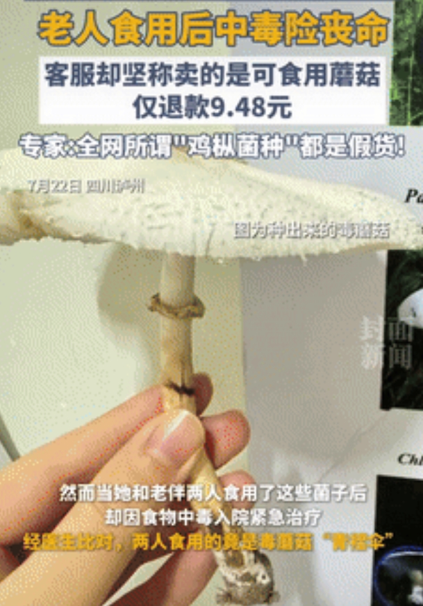 差点要了命！四川泸州，一老人花9.48元网购“鸡枞菌种”，仅仅10天就种出来了，