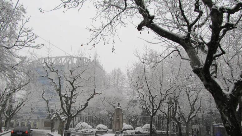 中国管理“和”为核，西方管理以“解决矛盾”为向，迭变中的和合之道：戴欣明迭学视角下东西方管理文化共生