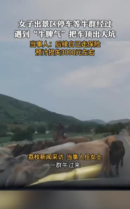 “防不胜防！”近日，新疆伊犁，一位女子开着自己的车到当地景区里自驾游，谁知刚出了