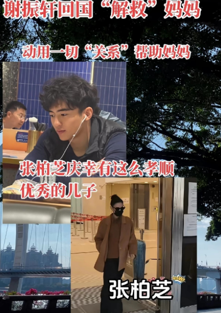 张柏芝是苦尽甘来，当她自己官司缠身，大儿子立马回港支持陪伴妈妈，女孩的核弹头，关