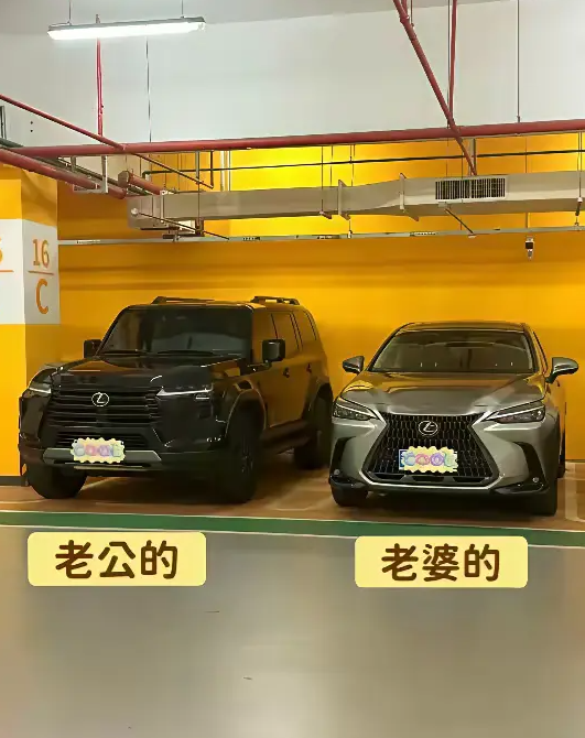 这样的是什么样的家庭啊？