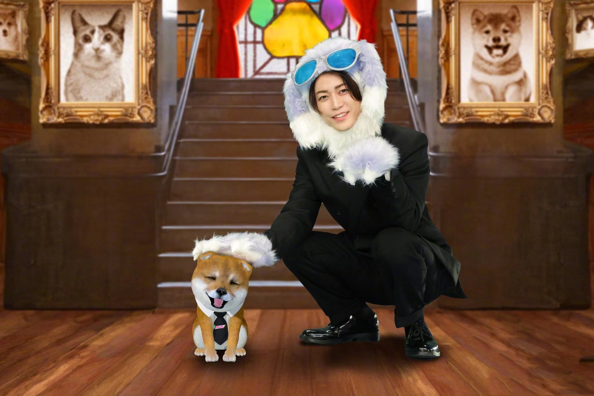 日本综艺《拯救世界！眼泪汪汪奇喵物语柴犬与三花猫与龟梨君》定档0416