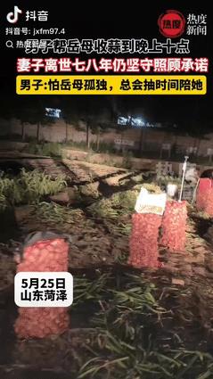 “这样的女婿全国少见！”山东菏泽，一男子帮岳母收蒜到晚上10点，只因去世七八年的