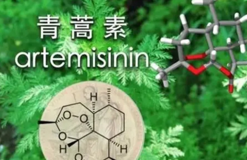 一年一度的诺奖又出来了，某些妄自菲薄，急于求成的人又开始发牢骚了：教育体制问题，