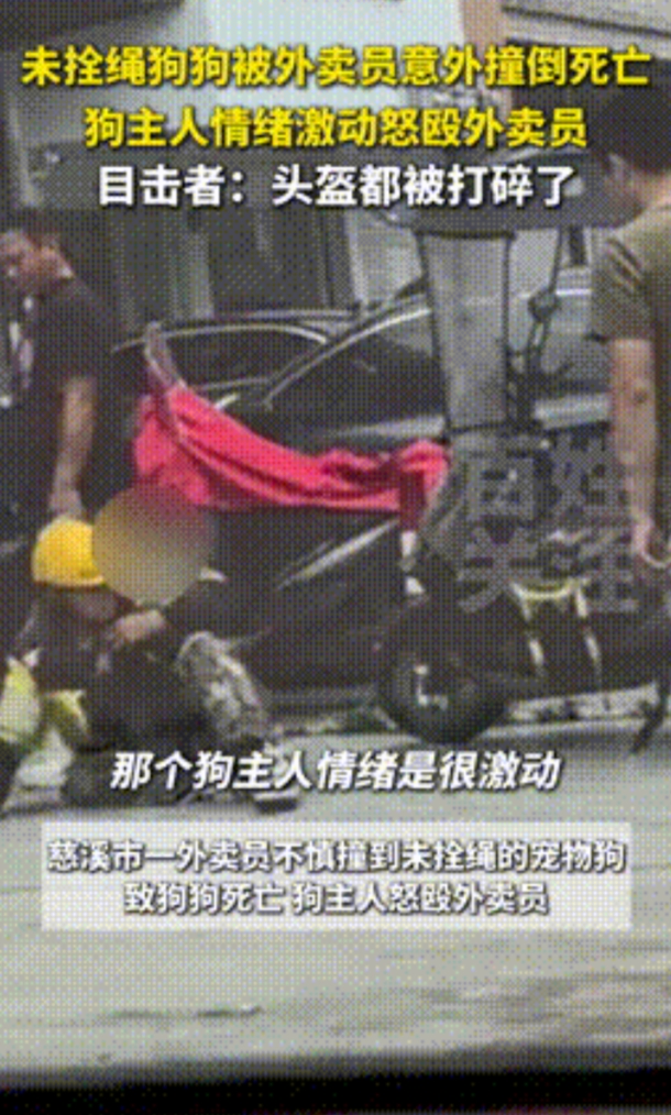 “人命还没狗命贵！”浙江，外卖员不慎撞死未栓绳的狗，不料狗主人暴怒，上来暴打外卖