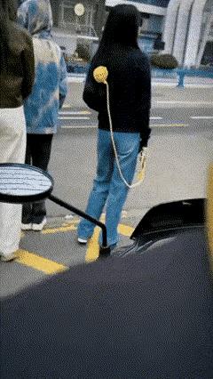 女孩到底在“遛”什么！
路口等红灯也能喝杯茶，我一直没看明白，那个女孩手里牵的到