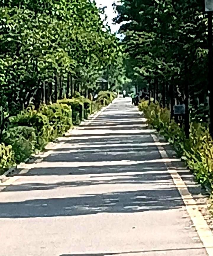 刚刚在河对岸就看到两个十五六岁的小男孩和小女孩，在相互拥抱着并亲吻着，全然无视旁