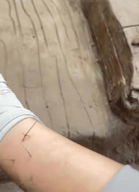 “这只猴子上人民日报了！”女生胳膊被扎了刺，正好身边有只猴子，网友都说猴子有灵性