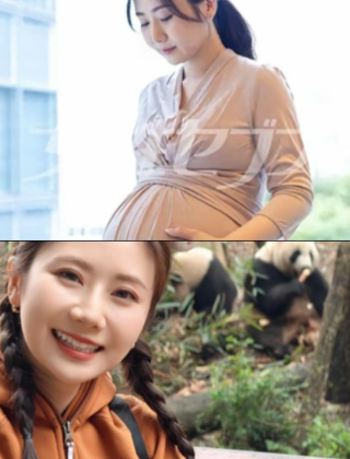 福原爱的人生剧本，比任何偶像剧都精彩。
37岁的她近日官宣怀上第三胎，新郎正是当