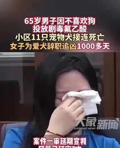 宠物狗被毒死，北京女子辞职寻凶！

本来我不爱八卦，但看到这件事还是惊掉下巴