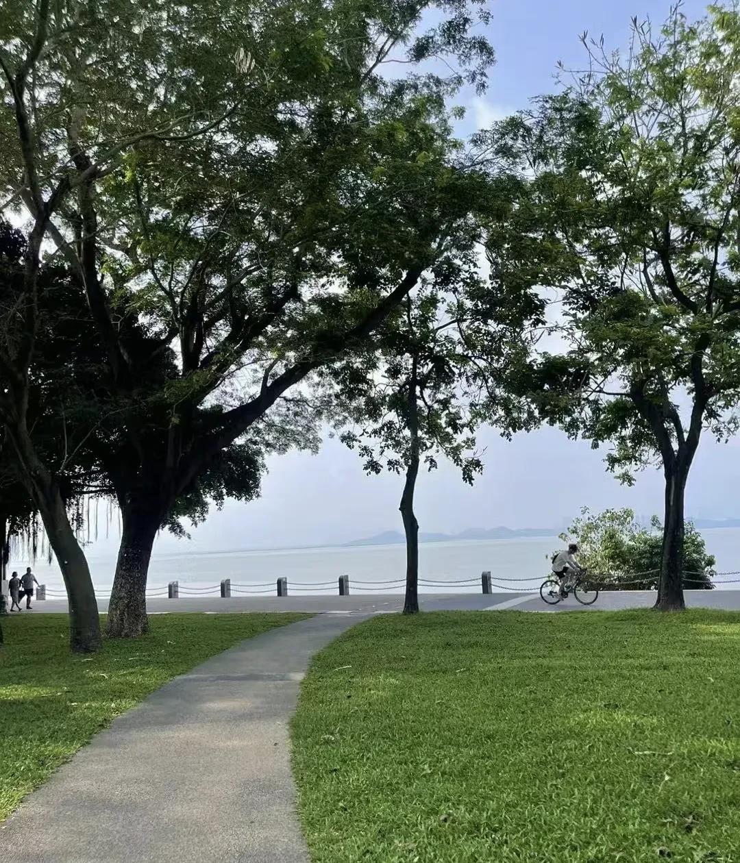 决定你走多远的，不是学历和能力。  
学历是你的入场券，决定了你的起点。能力是你