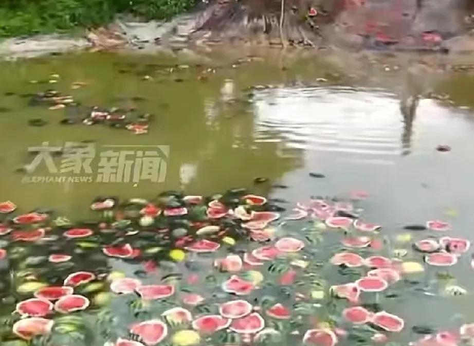 韩国人又破防了
每年的端午节韩国都要被世界网友拉出来鞭尸一次，抢偷申遗端午节成了