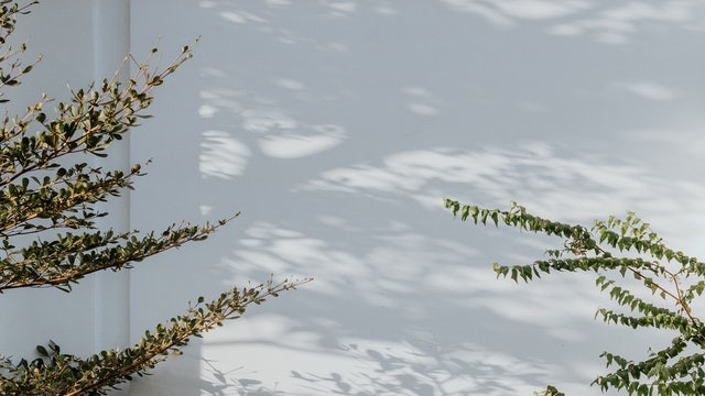 100 万两救命钱凑不出，7000 万两赃银搜不尽：大明亡国，是最讽刺的 “集体分赃”