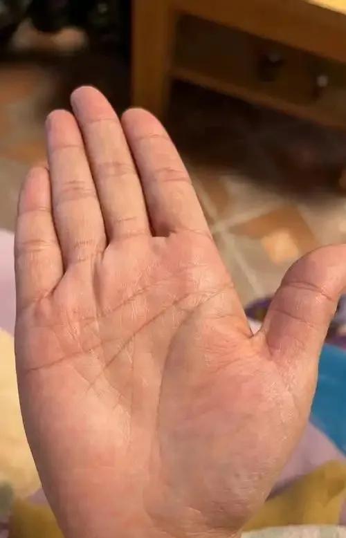 有时候遇见一些女性手相
其实心里也难免几分遗憾
明白其中的苦楚，每个人怎么走来