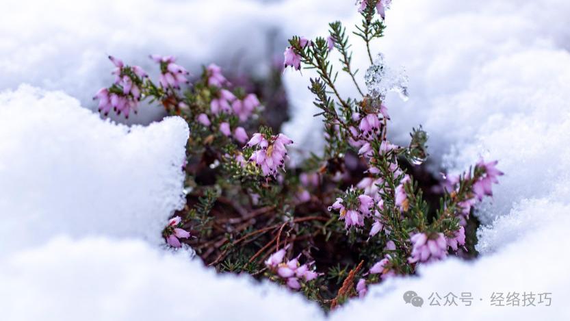 《黄帝内经》：冬天调养肠胃不是补出来的！这个“通”字请收好